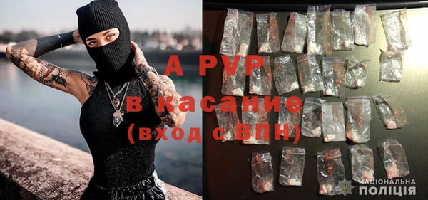 стафф Киренск
