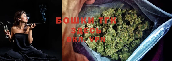 стаф Козловка