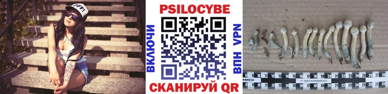 Купить где  Невьянск  Галлюциногенные грибы мухоморы 